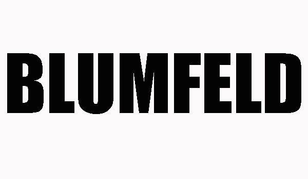 Blumfeld Tour 2014 in Originalbesetzung